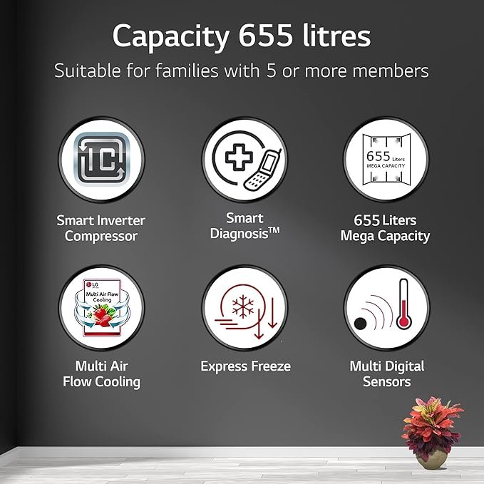 LG 655 L Frost-Free Smart Inverter Double Door Side-By-Side Refrigerator (GL-B257HDSY, Dazzle Steel, Express Freeze | Multi Air-Flow) - Image 14